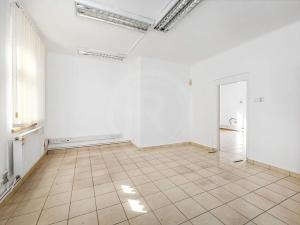 Prodej obchodního prostoru, České Budějovice, Opatovická, 250 m2