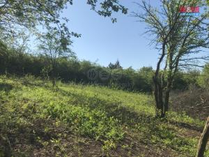 Prodej zahrady, Postoloprty - Mradice, 400 m2