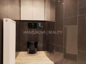 Pronájem bytu 3+kk, České Budějovice - České Budějovice 3, Skuherského, 105 m2