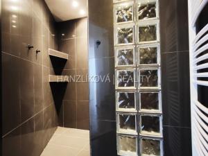 Pronájem bytu 3+kk, České Budějovice - České Budějovice 3, Skuherského, 105 m2
