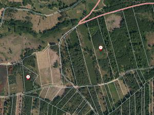 Prodej lesa, Jetětice, 79500 m2