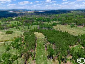 Prodej lesa, Jetětice, 79500 m2