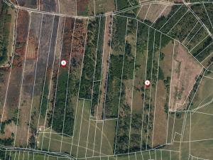 Prodej lesa, Jetětice, 79500 m2