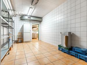 Pronájem restaurace, Teplice, U Nových lázní, 541 m2