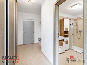 Pronájem bytu 2+kk, Plzeň - Severní Předměstí, Na Chmelnicích, 57 m2