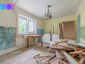 Prodej rodinného domu, Krčmaň, Náves, 100 m2