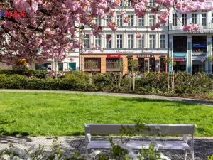 Prodej obchodního prostoru, Karlovy Vary, Divadelní náměstí, 115 m2