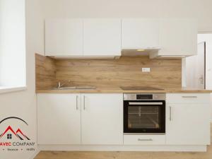 Pronájem bytu 1+kk, Ostrava, Palackého, 21 m2