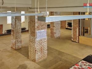 Pronájem výrobních prostor, Havlíčkův Brod, Humpolecká, 250 m2