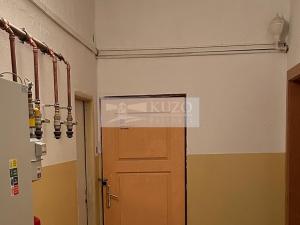 Prodej půdního prostoru, Karlovy Vary, Sadová, 150 m2