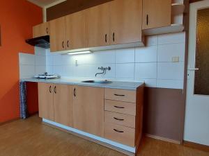 Pronájem bytu 1+kk, Valašské Meziříčí, Luční, 37 m2