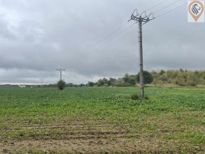 Prodej pole, Úhonice, 7001 m2