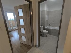 Pronájem bytu 2+kk, Městec Králové, Malátova, 47 m2
