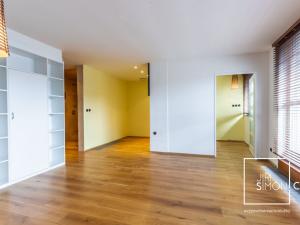 Prodej bytu 1+kk, Praha - Střešovice, Patočkova, 38 m2