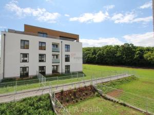 Pronájem bytu 2+kk, Praha - Bohnice, Pekařova, 38 m2
