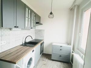Pronájem bytu 2+1, Praha, Údolní, 60 m2