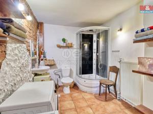 Prodej zemědělské usedlosti, Bžany, 431 m2