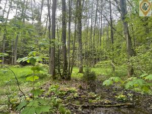 Prodej zemědělské usedlosti, Postupice, 2640 m2
