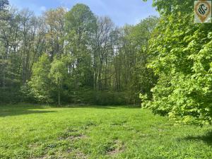 Prodej zemědělské usedlosti, Postupice, 2640 m2
