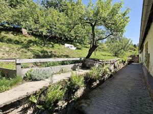 Prodej chalupy, Klatovy - Kydliny, 92 m2