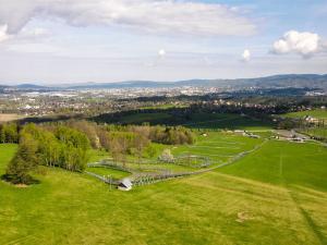 Prodej pozemku, Dlouhý Most, 1459 m2