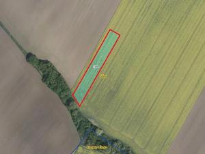 Prodej pole, Češov, 4305 m2