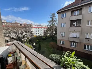 Prodej bytu 1+1, Praha - Žižkov, Jeseniova, 49 m2