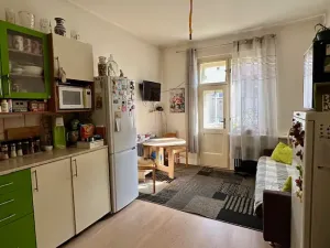 Prodej bytu 1+1, Praha - Žižkov, Jeseniova, 49 m2