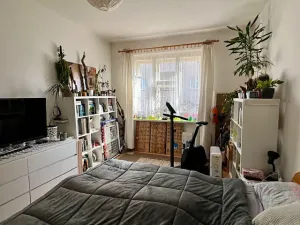 Prodej bytu 1+1, Praha - Žižkov, Jeseniova, 49 m2