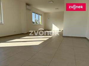 Pronájem výrobních prostor, Lukov, Průmyslová, 293 m2