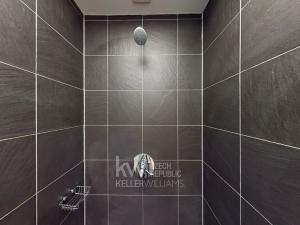 Pronájem bytu 3+1, Praha - Nové Město, Krakovská, 120 m2