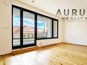 Pronájem bytu 1+kk, Praha - Nusle, Bělehradská, 50 m2