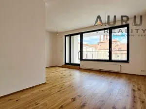 Pronájem bytu 1+kk, Praha - Nusle, Bělehradská, 50 m2