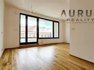 Pronájem bytu 1+kk, Praha - Nusle, Bělehradská, 50 m2