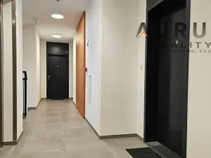 Pronájem bytu 1+kk, Praha - Nusle, Bělehradská, 50 m2