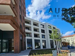 Pronájem bytu 1+kk, Praha - Nusle, Bělehradská, 50 m2