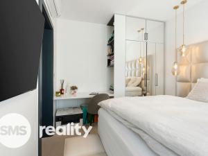 Pronájem bytu 4+kk, Brno, Vinařská, 165 m2