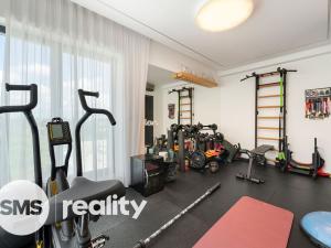 Pronájem bytu 4+kk, Brno, Vinařská, 165 m2
