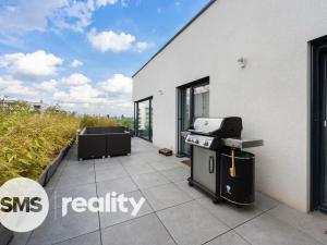Pronájem bytu 4+kk, Brno, Vinařská, 165 m2