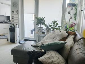 Pronájem bytu 3+kk, Praha, Slancova, 73 m2