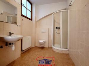 Pronájem bytu 2+1, České Budějovice, Česká, 67 m2