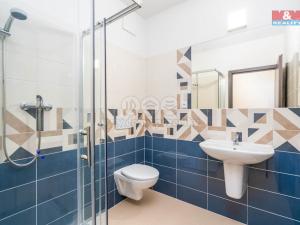 Pronájem obchodního prostoru, Okrouhlo, 1076 m2