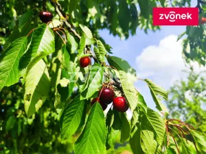 Prodej pozemku pro bydlení, Kroměříž - Těšnovice, 1386 m2