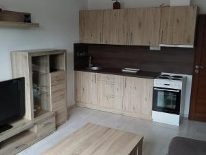 Prodej bytu 2+kk, Dubí, Koněvova, 38 m2