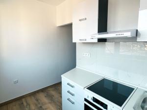 Pronájem bytu 1+1, Ústí nad Labem, Na Kohoutě, 34 m2