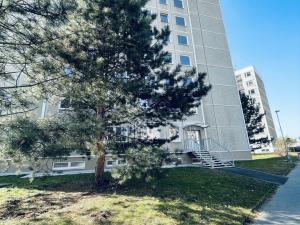 Pronájem bytu 1+1, Ústí nad Labem, Na Kohoutě, 34 m2