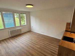 Pronájem bytu 1+kk, Teplice, Slovenská, 26 m2