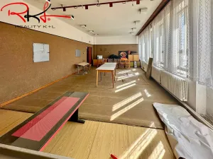 Prodej obchodního prostoru, Chlum u Třeboně, Třeboňská, 1300 m2