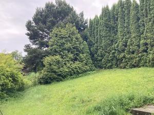 Prodej rodinného domu, Mírová pod Kozákovem, 105 m2