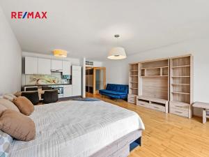 Prodej bytu 1+kk, Praha - Žižkov, Malešická, 59 m2